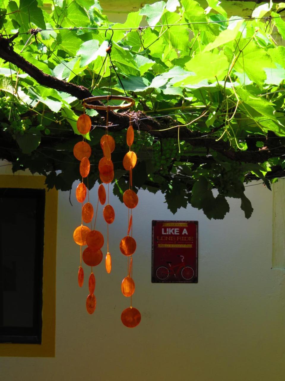 Chicamocha Hostel Сан-Хіль Екстер'єр фото